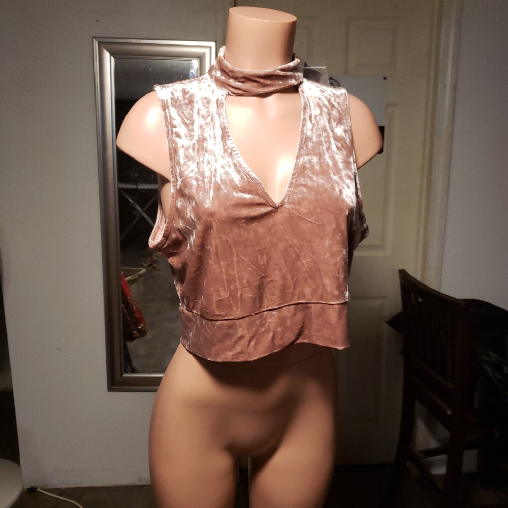 Velvet Bebe Crop top